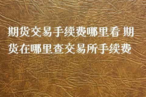 期货交易手续费哪里看 期货在哪里查交易所手续费_https://www.xyskdbj.com_期货手续费_第1张