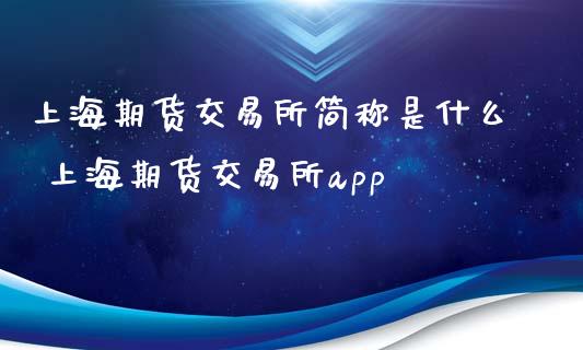 上海期货交易所简称是什么 上海期货交易所app_https://www.xyskdbj.com_期货学院_第1张