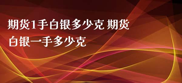 期货1手白银多少克 期货白银一手多少克_https://www.xyskdbj.com_期货手续费_第1张