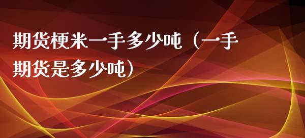 期货梗米一手多少吨（一手期货是多少吨）_https://www.xyskdbj.com_期货行情_第1张