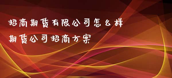 招商期货有限公司怎么样 期货公司招商方案_https://www.xyskdbj.com_期货学院_第1张