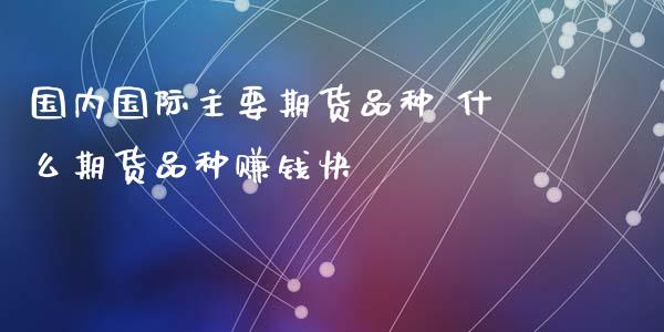 国内国际主要期货品种 什么期货品种赚钱快_https://www.xyskdbj.com_期货手续费_第1张