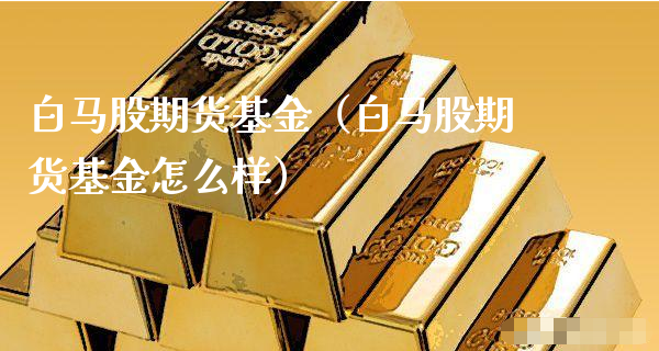 白马股期货基金（白马股期货基金怎么样）_https://www.xyskdbj.com_期货学院_第1张