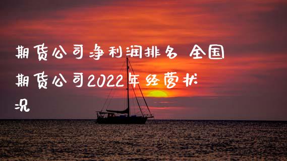 期货公司净利润排名 全国期货公司2022年经营状况_https://www.xyskdbj.com_期货学院_第1张