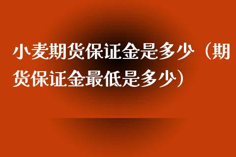 小麦期货保证金是多少（期货保证金最低是多少）_https://www.xyskdbj.com_期货学院_第1张