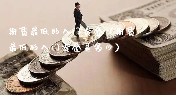 期货最低的入门资金（期货最低的入门资金是多少）_https://www.xyskdbj.com_原油直播_第1张