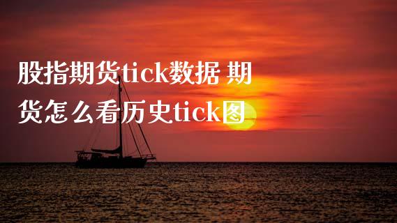 股指期货tick数据 期货怎么看历史tick图_https://www.xyskdbj.com_原油行情_第1张