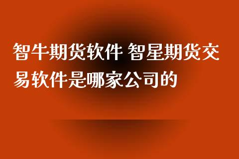 智牛期货软件 智星期货交易软件是哪家公司的_https://www.xyskdbj.com_期货行情_第1张