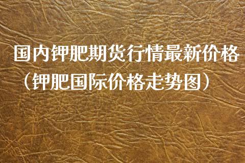 国内钾肥期货行情最新价格（钾肥国际价格走势图）_https://www.xyskdbj.com_原油直播_第1张