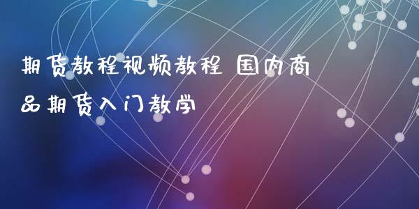 期货教程视频教程 国内商品期货入门教学_https://www.xyskdbj.com_期货手续费_第1张