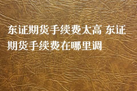 东证期货手续费太高 东证期货手续费在哪里调_https://www.xyskdbj.com_期货学院_第1张