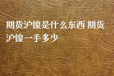 期货沪镍是什么东西 期货沪镍一手多少_https://www.xyskdbj.com_期货平台_第1张