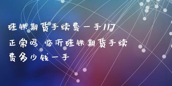 硅铁期货手续费一手117正常吗 临沂硅铁期货手续费多少钱一手_https://www.xyskdbj.com_期货学院_第1张