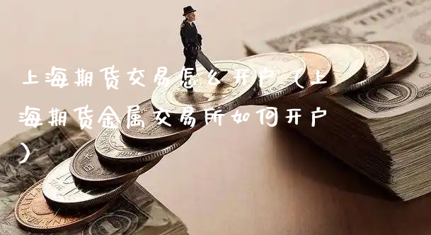 上海期货交易怎么开户（上海期货金属交易所如何开户）_https://www.xyskdbj.com_原油行情_第1张