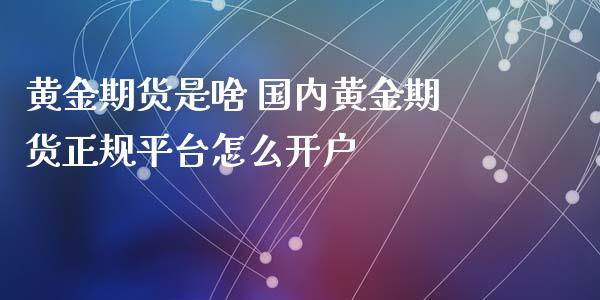 黄金期货是啥 国内黄金期货正规平台怎么开户_https://www.xyskdbj.com_期货手续费_第1张