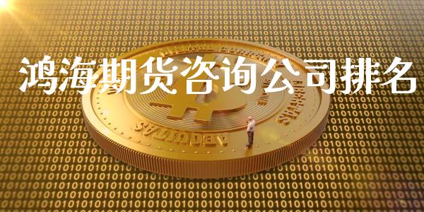 鸿海期货咨询公司排名_https://www.xyskdbj.com_期货学院_第1张