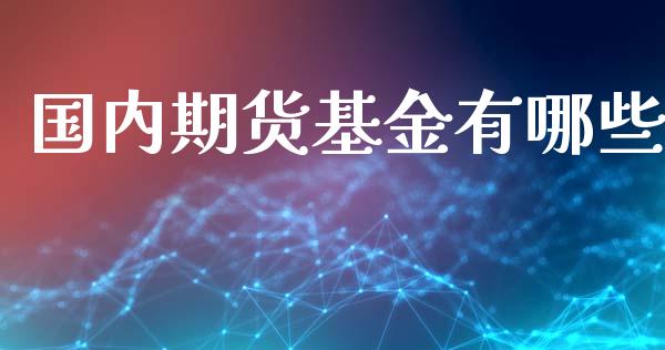 国内期货基金有哪些_https://www.xyskdbj.com_期货学院_第1张