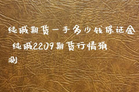 纯碱期货一手多少钱保证金 纯碱2209期货行情预测_https://www.xyskdbj.com_期货平台_第1张