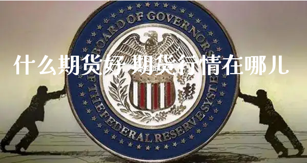 什么期货好 期货行情在哪儿_https://www.xyskdbj.com_期货学院_第1张