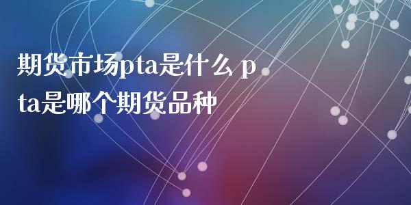 期货市场pta是什么 pta是哪个期货品种_https://www.xyskdbj.com_期货学院_第1张