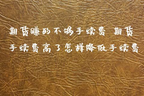 期货赚的不够手续费 期货手续费高了怎样降低手续费_https://www.xyskdbj.com_期货学院_第1张