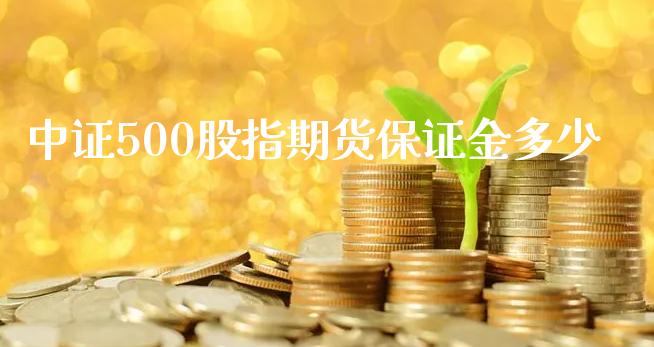 中证500股指期货保证金多少_https://www.xyskdbj.com_期货学院_第1张