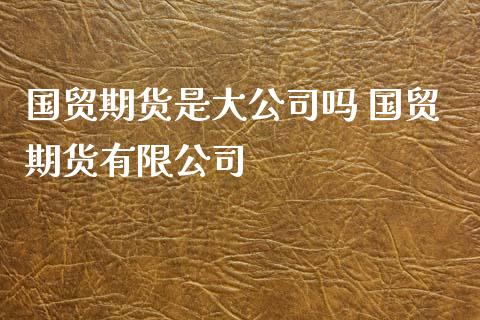 国贸期货是大公司吗 国贸期货有限公司_https://www.xyskdbj.com_期货平台_第1张