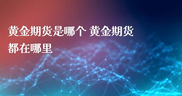 黄金期货是哪个 黄金期货都在哪里_https://www.xyskdbj.com_期货平台_第1张