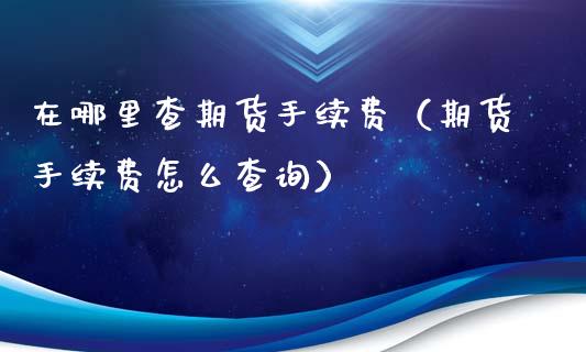 在哪里查期货手续费（期货手续费怎么查询）_https://www.xyskdbj.com_期货学院_第1张