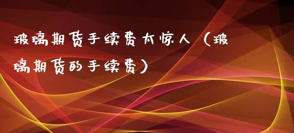 玻璃期货手续费太惊人（玻璃期货的手续费）_https://www.xyskdbj.com_期货学院_第1张