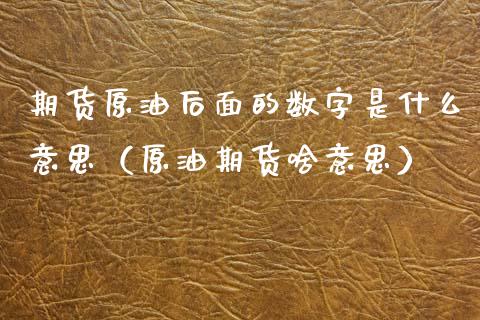 期货原油后面的数字是什么意思（原油期货啥意思）_https://www.xyskdbj.com_原油直播_第1张