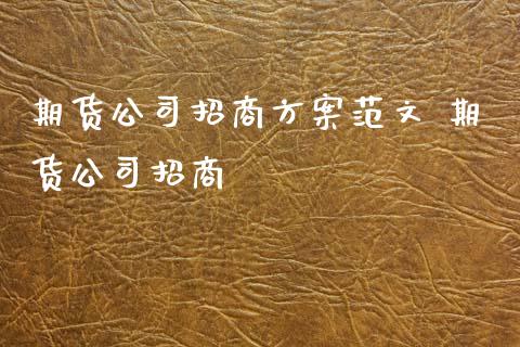 期货公司招商方案范文 期货公司招商_https://www.xyskdbj.com_期货手续费_第1张