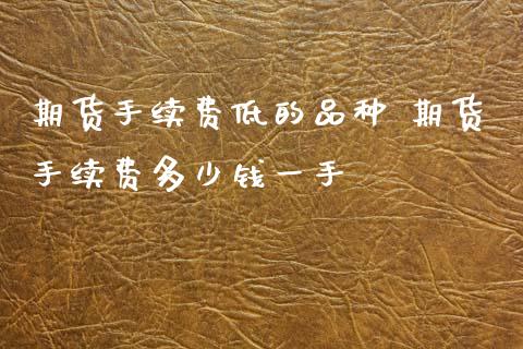 期货手续费低的品种 期货手续费多少钱一手_https://www.xyskdbj.com_期货学院_第1张