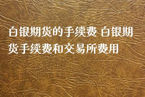 白银期货的手续费 白银期货手续费和交易所费用_https://www.xyskdbj.com_原油直播_第1张