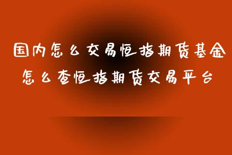 国内怎么交易恒指期货基金 怎么查恒指期货交易平台_https://www.xyskdbj.com_期货平台_第1张