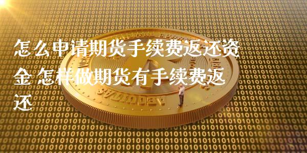 怎么申请期货手续费返还资金 怎样做期货有手续费返还_https://www.xyskdbj.com_原油行情_第1张