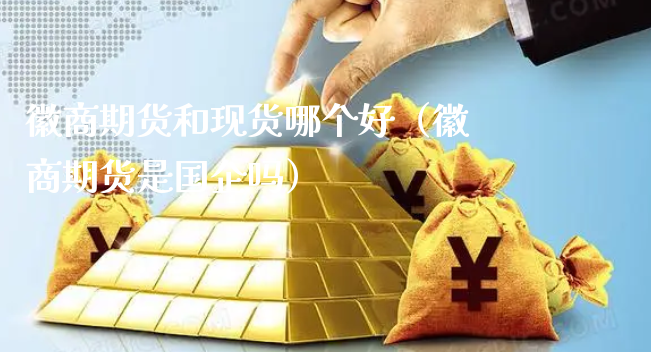 徽商期货和现货哪个好（徽商期货是国企吗）_https://www.xyskdbj.com_期货学院_第1张