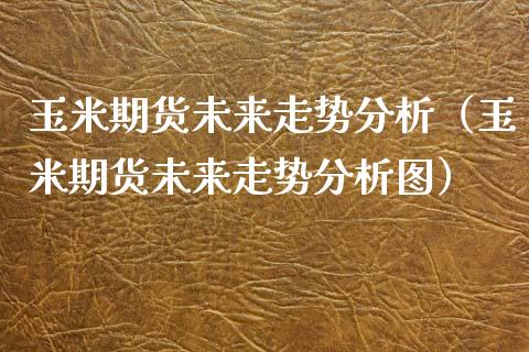 玉米期货未来走势分析（玉米期货未来走势分析图）_https://www.xyskdbj.com_原油行情_第1张