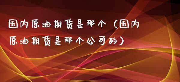 国内原油期货是那个（国内原油期货是那个公司的）_https://www.xyskdbj.com_期货学院_第1张