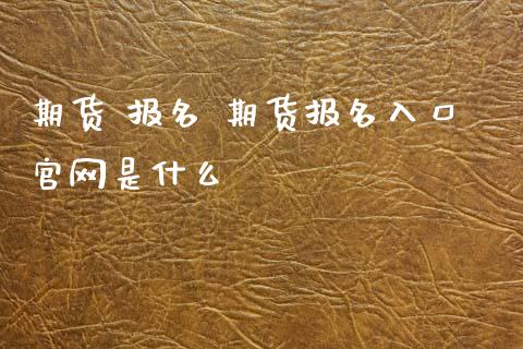 期货 报名 期货报名入口官网是什么_https://www.xyskdbj.com_期货学院_第1张