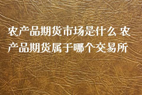 农产品期货市场是什么 农产品期货属于哪个交易所_https://www.xyskdbj.com_期货行情_第1张