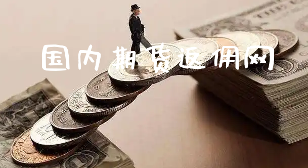 国内期货返佣网_https://www.xyskdbj.com_期货学院_第1张