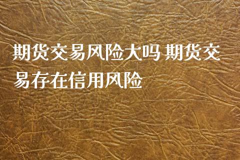 期货交易风险大吗 期货交易存在信用风险_https://www.xyskdbj.com_期货学院_第1张