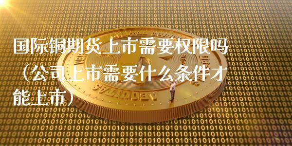 国际铜期货上市需要权限吗（公司上市需要什么条件才能上市）_https://www.xyskdbj.com_期货手续费_第1张