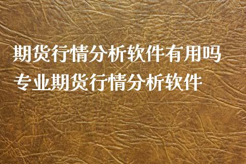 期货行情分析软件有用吗 专业期货行情分析软件_https://www.xyskdbj.com_期货学院_第1张