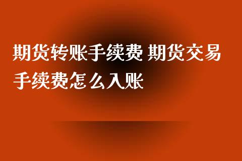 期货转账手续费 期货交易手续费怎么入账_https://www.xyskdbj.com_期货学院_第1张