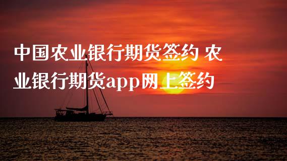 中国农业银行期货签约 农业银行期货app网上签约_https://www.xyskdbj.com_期货学院_第1张