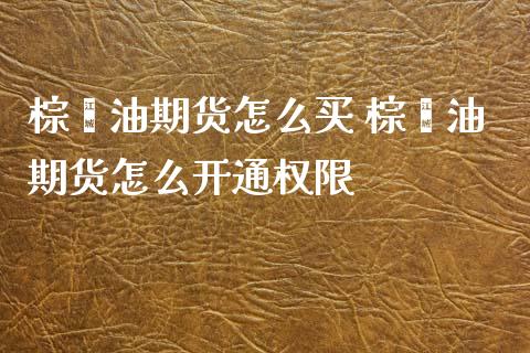 棕榈油期货怎么买 棕榈油期货怎么开通权限_https://www.xyskdbj.com_原油直播_第1张