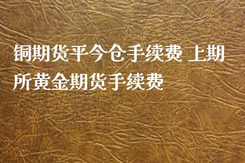 铜期货平今仓手续费 上期所黄金期货手续费_https://www.xyskdbj.com_期货学院_第1张