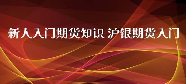 新人入门期货知识 沪银期货入门_https://www.xyskdbj.com_期货行情_第1张